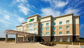Holiday Inn Express and Suites Bossier City Louisiana Downs, an IHG Hotel, Bossier City